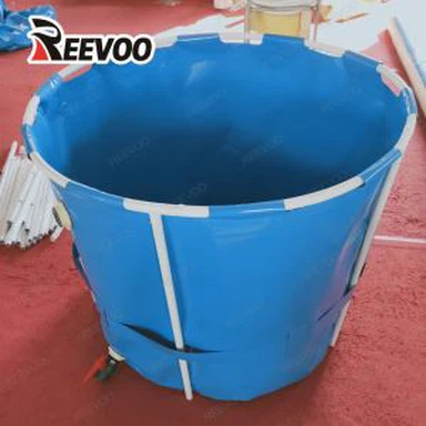 Rybník na rybníku